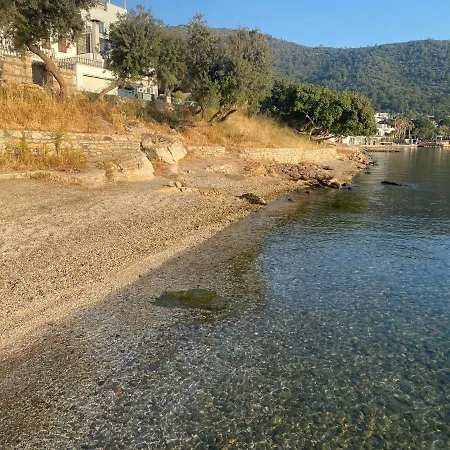 Olivia 3* Αλικαρνασσός