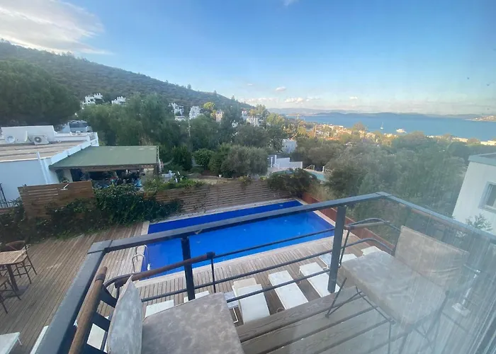 Отель Olivia 3*