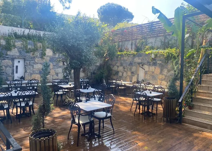 Olivia Отель Бодрум