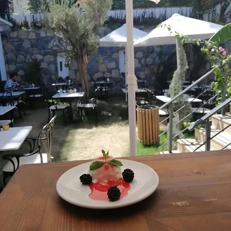 Hotel Olivia Bodrum
