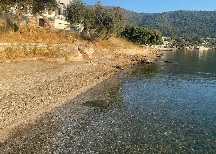 Olivia 3* Αλικαρνασσός